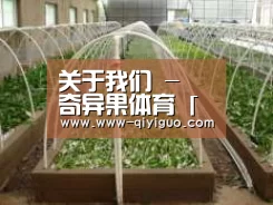环境展示五