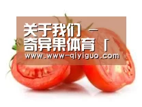 产品名称四
