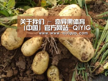 种植基地六