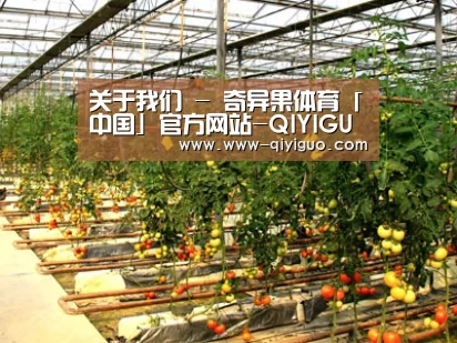 种植基地二