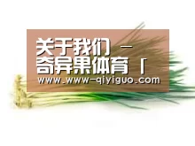 产品名称二
