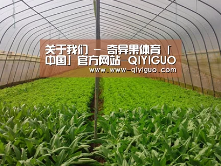种植基地四