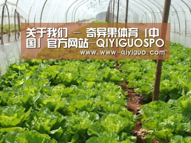 种植基地五