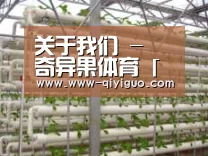 环境展示六