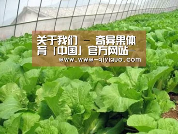 种植基地一