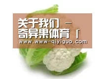 产品名称九