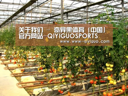 种植基地二(图1)