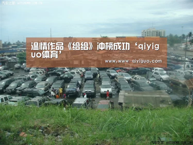温情作品《给给》冲榜成功‘qiyiguo体育’(图2)