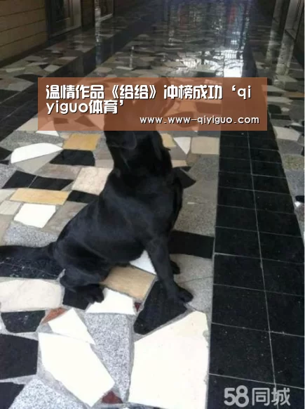 qiyiguo体育