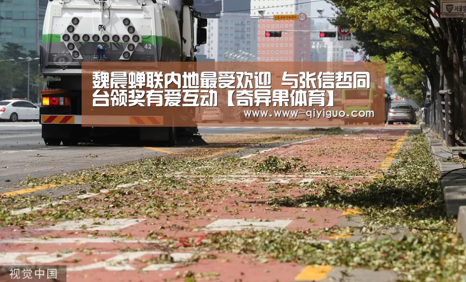 奇异果体育官网入口