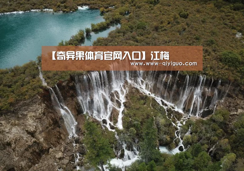 【奇异果体育官网入口】江梅(图2) qiyiguo体育
