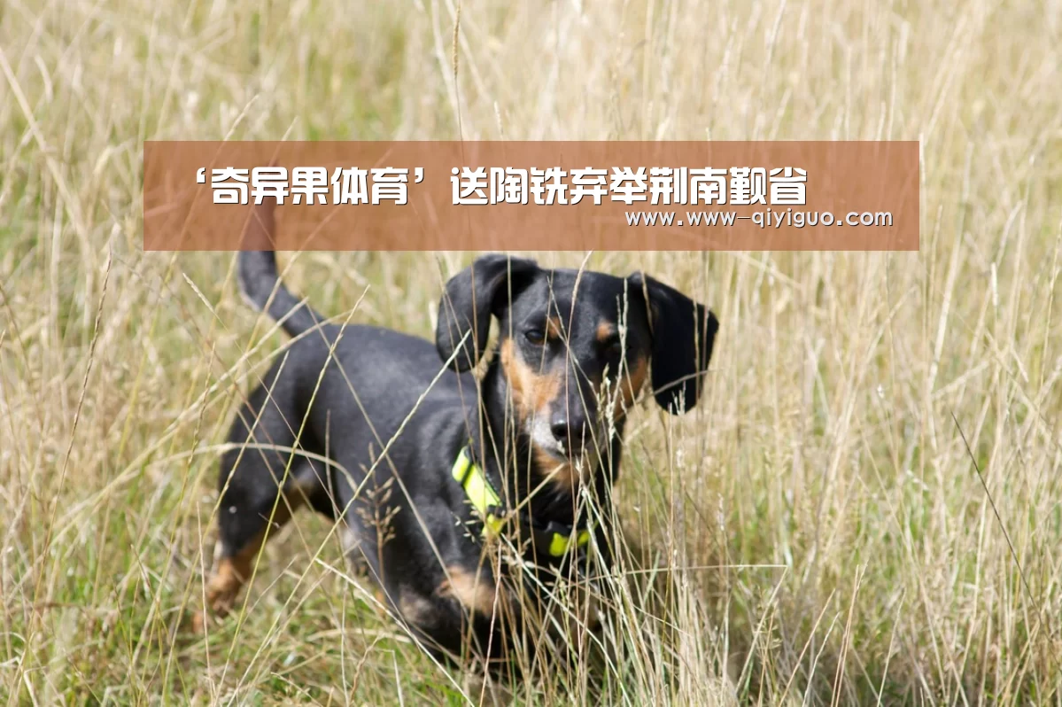 ‘奇异果体育’送陶铣弃举荆南觐省(图2) 奇异果