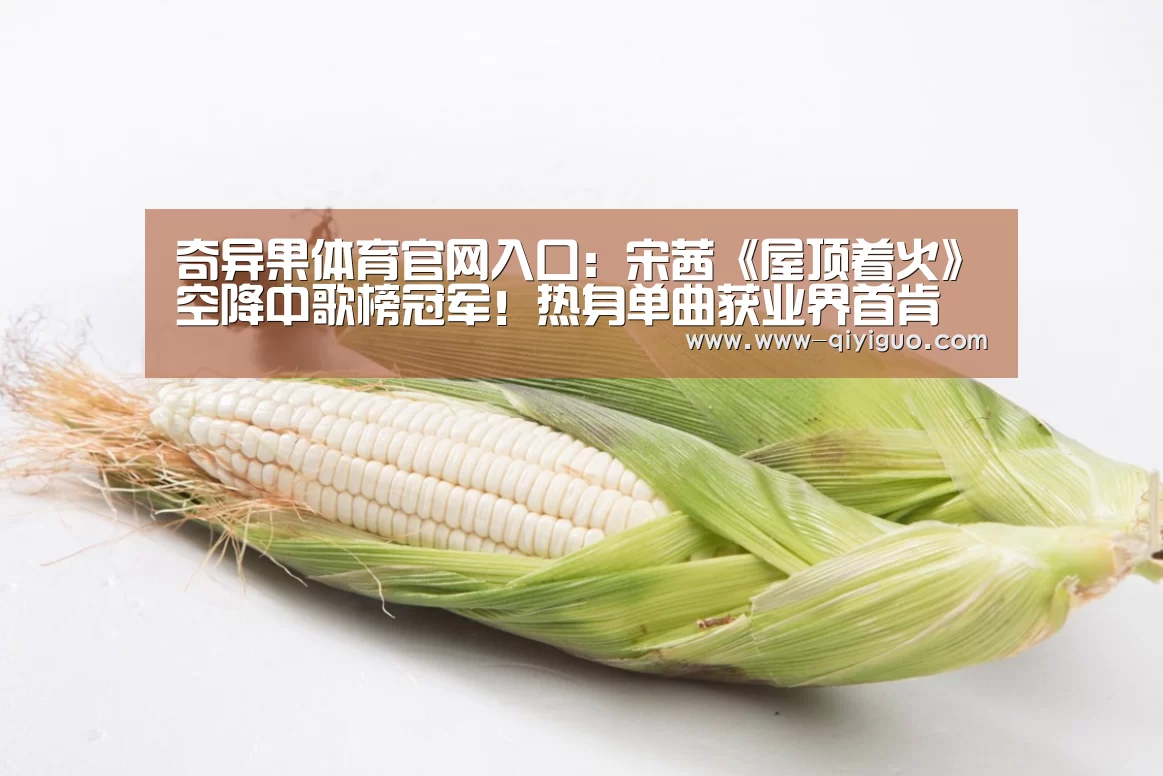 奇异果体育官网入口:宋茜《屋顶着火》空降中歌榜冠军!热身单曲获业界首肯(图1) 奇异果体育