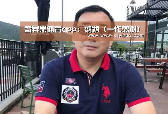奇异果体育app:鹦鹉(一作翦羽)(图1) qiyiguo体育