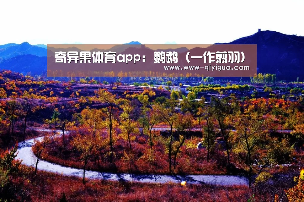 奇异果体育app:鹦鹉(一作翦羽)(图3) 奇异果体育app:鹦鹉(一作翦羽)(图3)